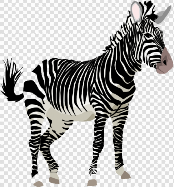 Detail Zebra Png Nomer 32