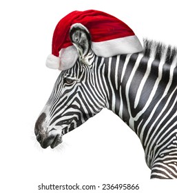 Detail Zebra Santa Hat Nomer 2