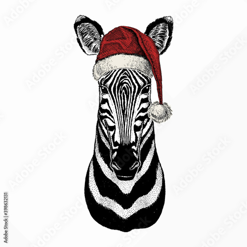 Detail Zebra Santa Hat Nomer 13