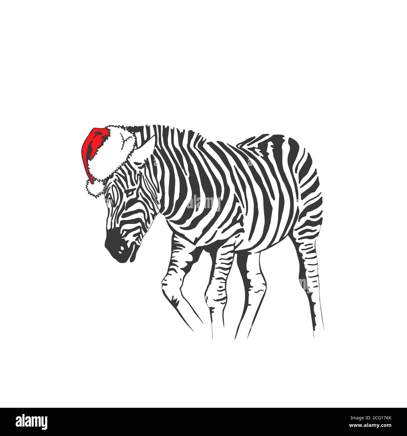 Detail Zebra Santa Hat Nomer 17