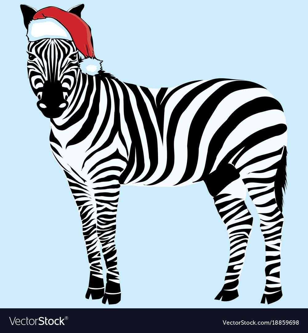 Detail Zebra Santa Hat Nomer 18