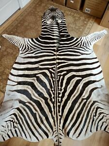 Zebra Skin Rug Ebay - KibrisPDR