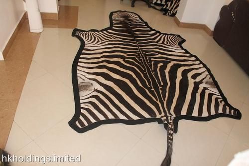 Detail Zebra Skin Rug Ebay Nomer 9