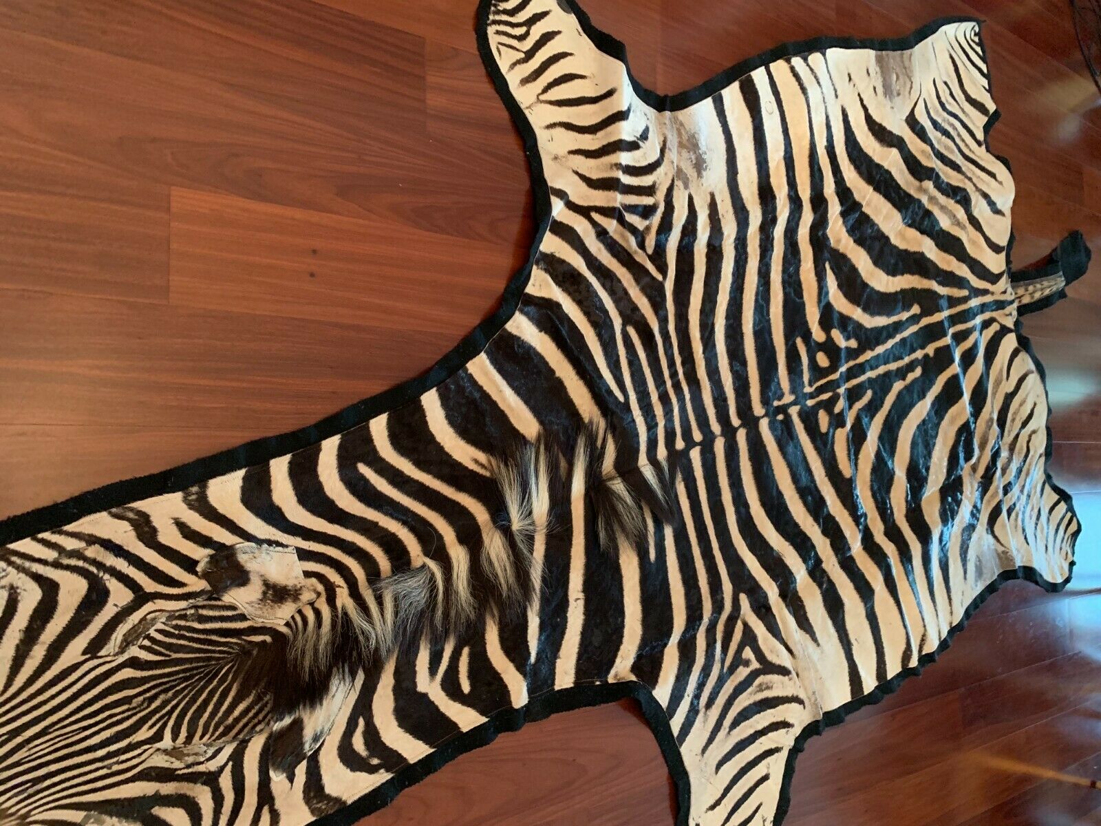 Detail Zebra Skin Rug Ebay Nomer 30