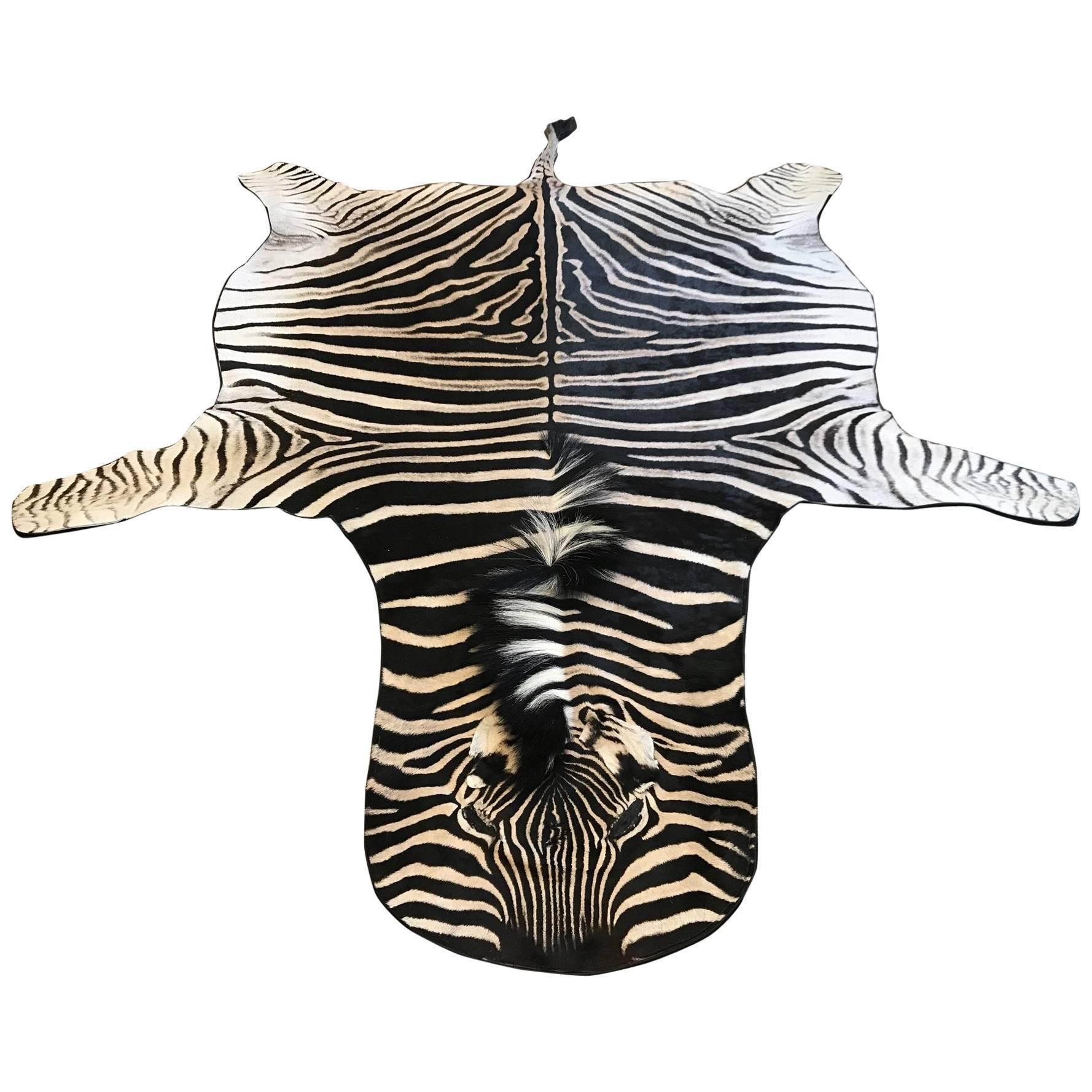 Detail Zebra Skin Rug Ebay Nomer 35