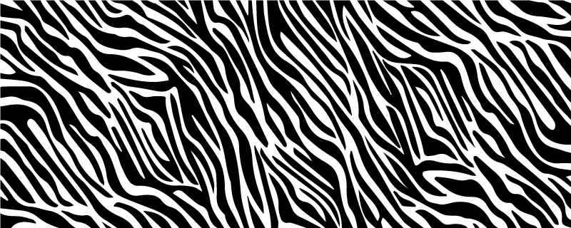 Detail Zebra Stripes Png Nomer 39