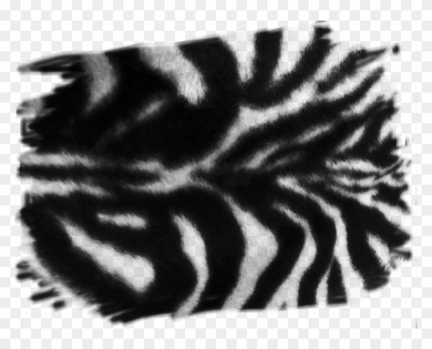 Detail Zebra Stripes Png Nomer 44