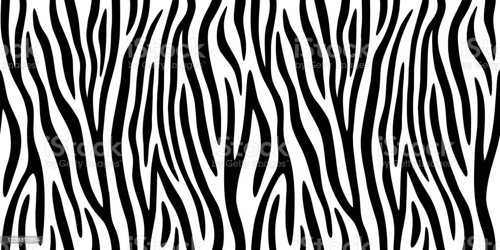 Detail Zebra Stripes Png Nomer 48