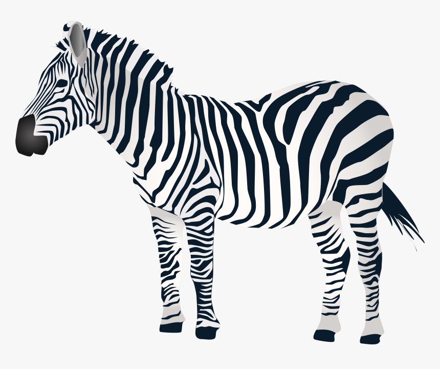 Detail Zebra Transparent Nomer 11