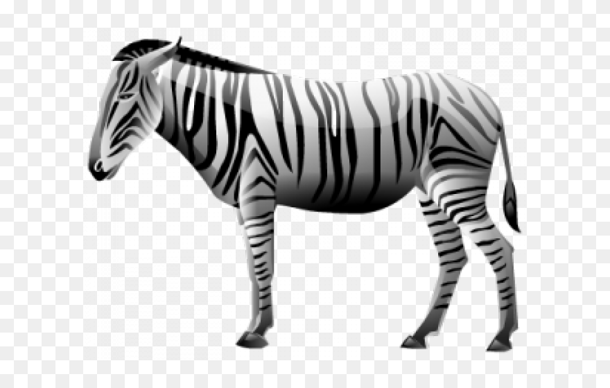 Detail Zebra Transparent Nomer 30