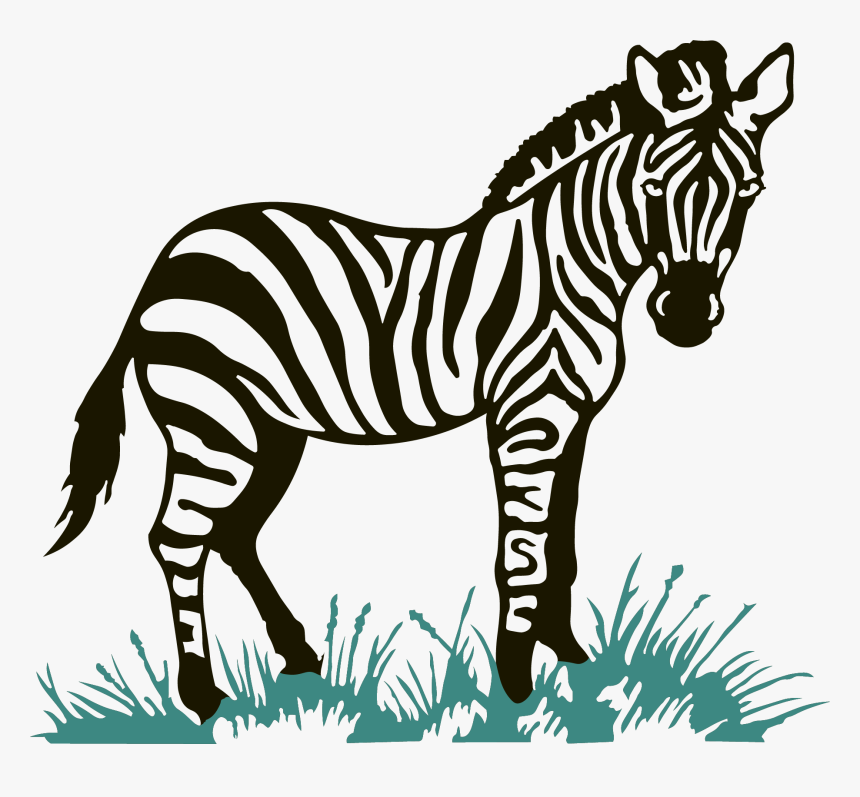 Detail Zebra Transparent Nomer 35