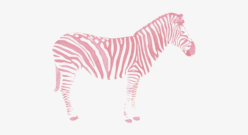 Detail Zebra Transparent Nomer 51
