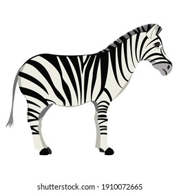Detail Zebra Transparent Nomer 55
