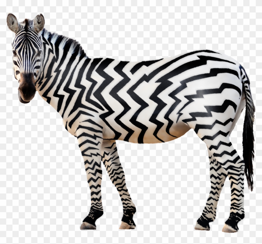 Detail Zebra Transparent Nomer 9