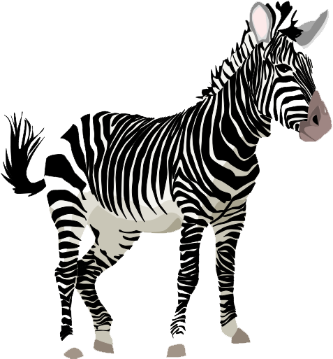 Detail Zebra Transparent Background Nomer 20