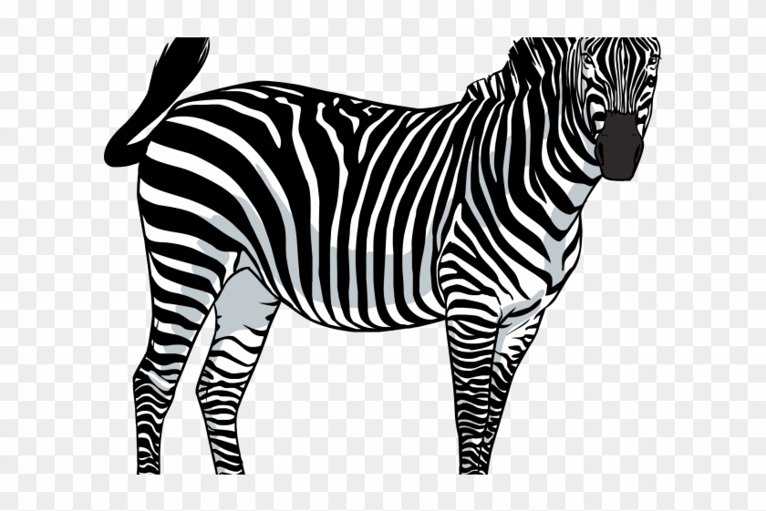 Detail Zebra Transparent Background Nomer 8