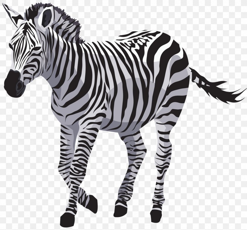 Detail Zebra Vector Png Nomer 12