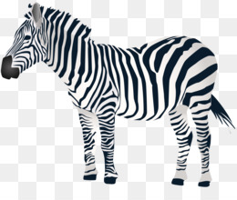 Detail Zebra Vector Png Nomer 20