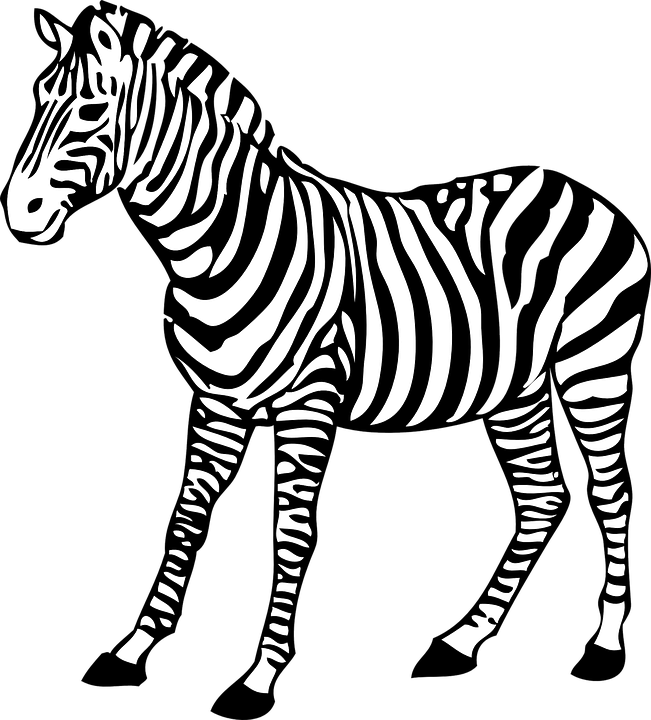 Detail Zebra Vector Png Nomer 23