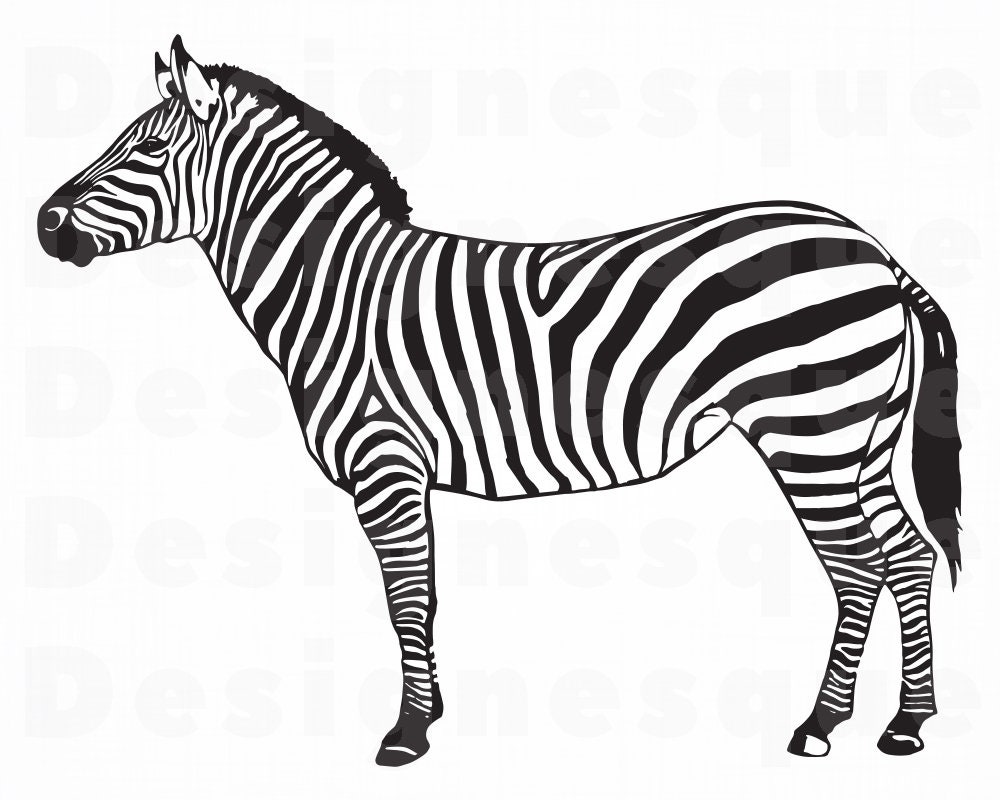 Detail Zebra Vector Png Nomer 29