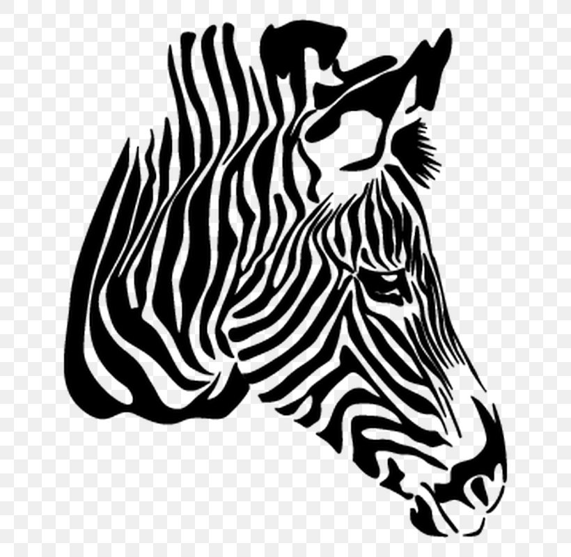 Detail Zebra Vector Png Nomer 32