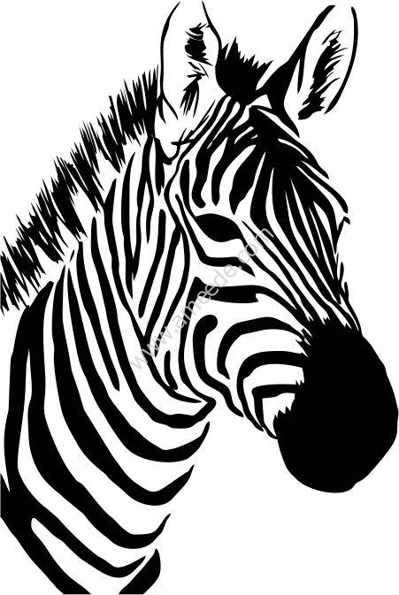 Detail Zebra Vector Png Nomer 51