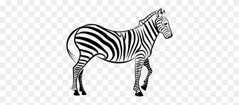 Detail Zebra Vector Png Nomer 52