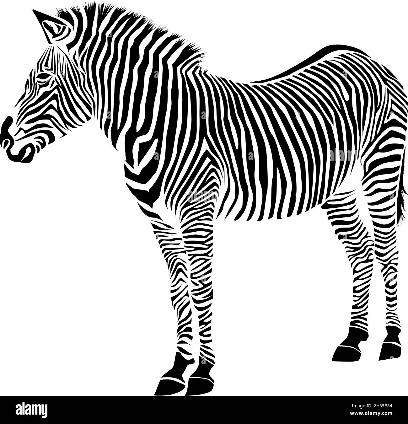 Detail Zebra Vector Png Nomer 53