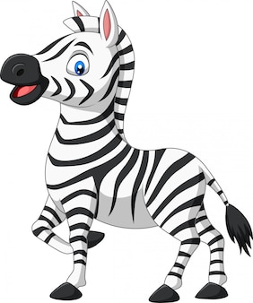 Detail Zebra Vector Png Nomer 9