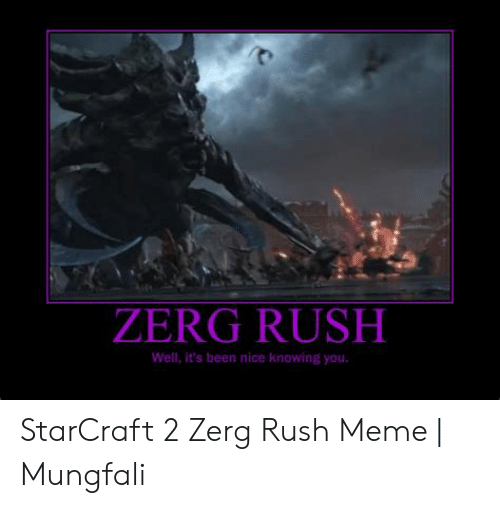 Detail Zerg Rush Meme Nomer 43