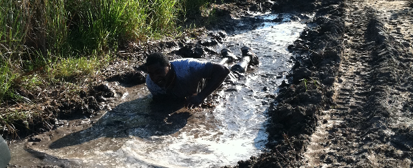 Detail Zombie Mud Run Nc Nomer 14