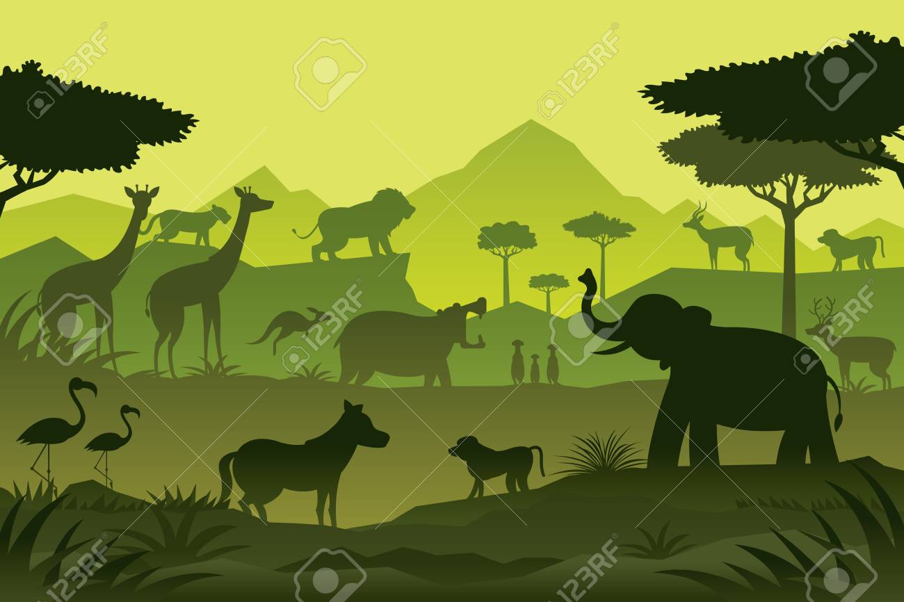 Detail Zoo Background Nomer 24