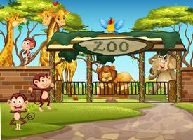 Detail Zoo Background Nomer 28