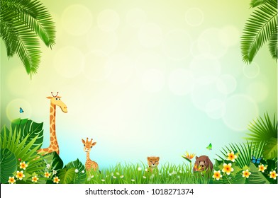 Detail Zoo Background Nomer 8