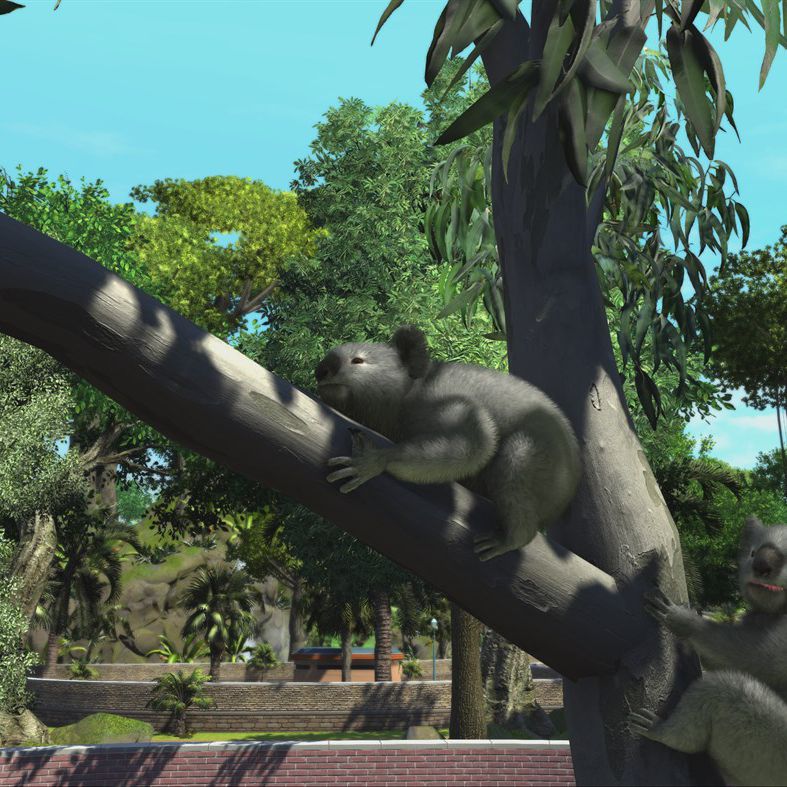 Detail Zoo Tycoon 3 Nomer 25