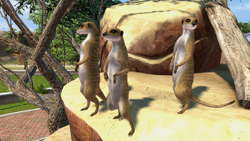 Detail Zoo Tycoon 3 Nomer 37