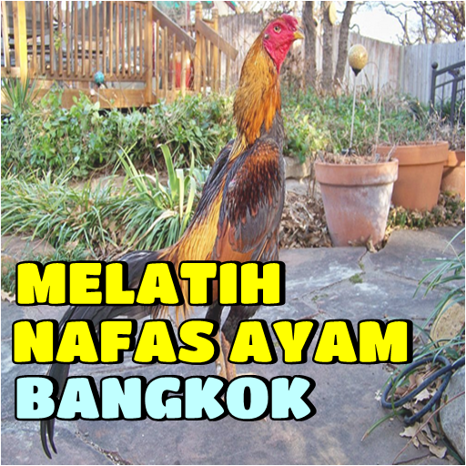 Detail Download Foto Ayam Bangkok Nomer 57