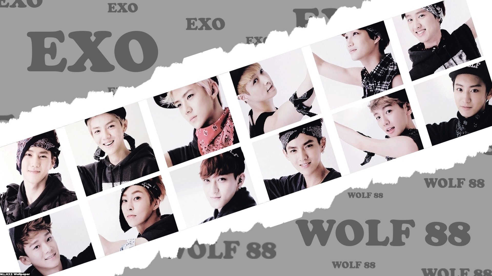 Detail Download Foto Exo Nomer 39