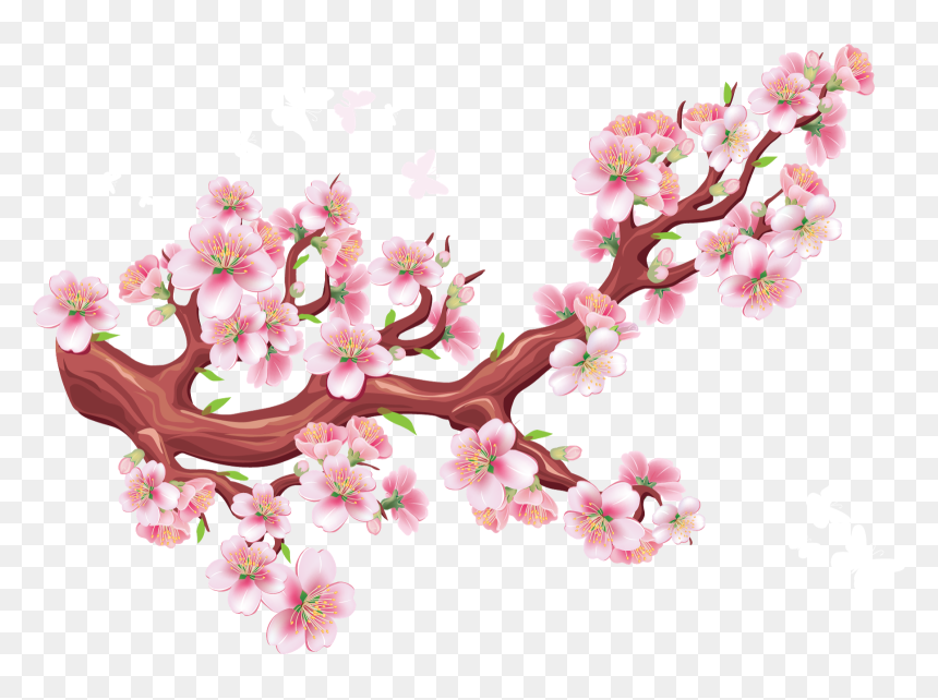 Detail Download Foto Gambar Bunga Sakura Nomer 21