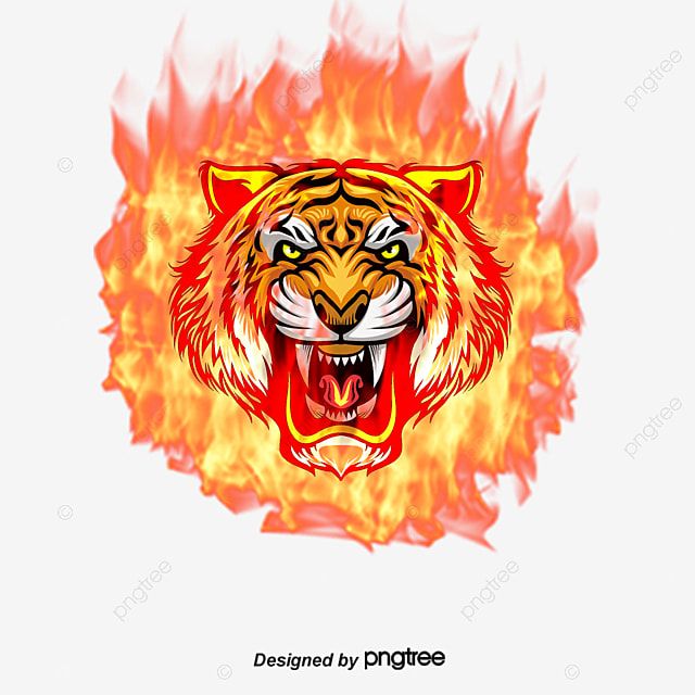 Detail Download Foto Harimau Nomer 51