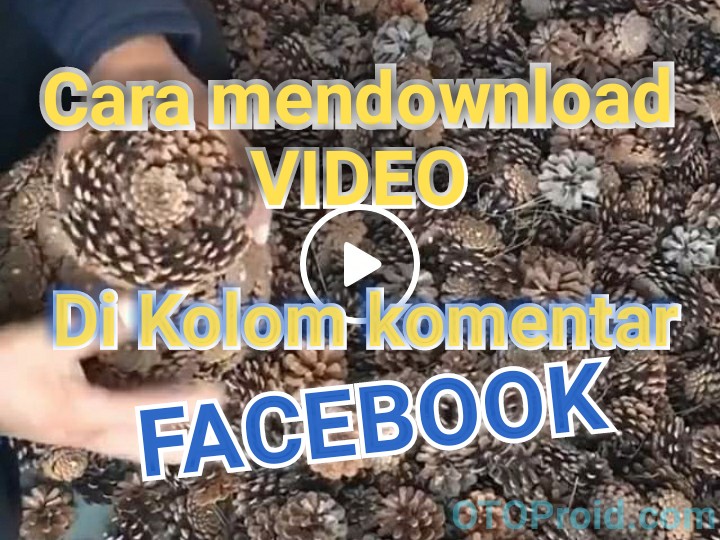 Detail Download Foto Lucu Komentar Facebook Nomer 36