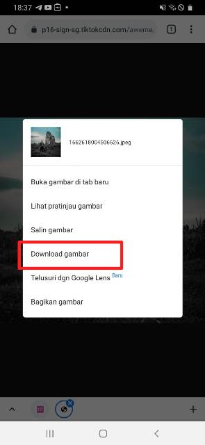 Detail Download Foto Profil Tiktok Orang Nomer 8