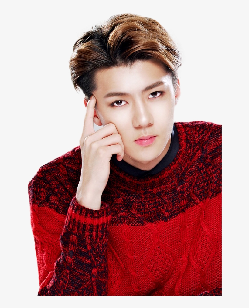Detail Download Foto Sehun Exo Nomer 14