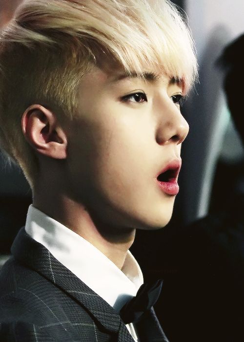 Detail Download Foto Sehun Exo Nomer 15