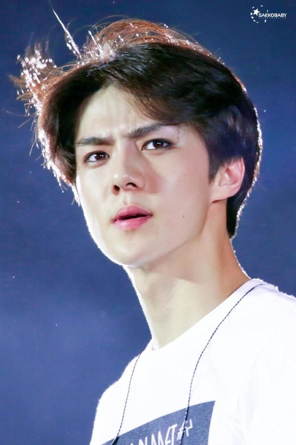 Detail Download Foto Sehun Exo Nomer 25