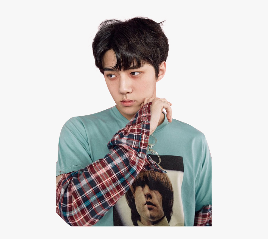 Detail Download Foto Sehun Exo Nomer 41