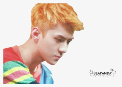 Detail Download Foto Sehun Exo Nomer 51