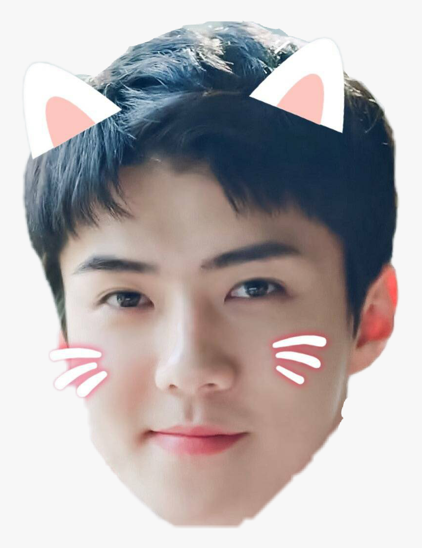 Detail Download Foto Sehun Exo Nomer 54