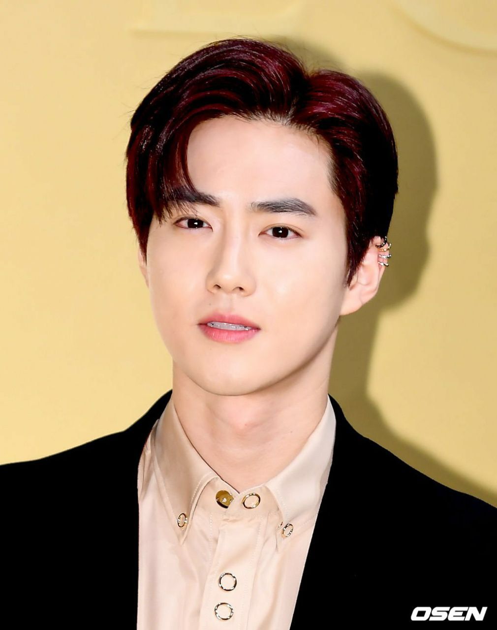 Detail Download Foto Suho Exo Nomer 36