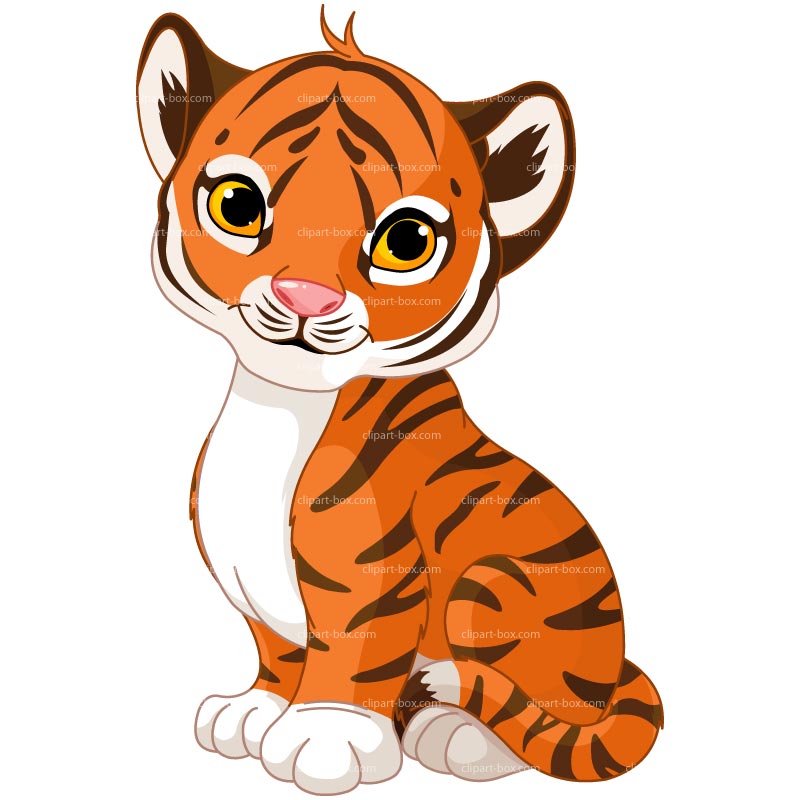 Detail Sumatran Tiger Nomer 22